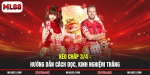 Kèo chấp 3/4 - Hướng Dẫn Cách Đọc, Kinh Nghiệm Thắng